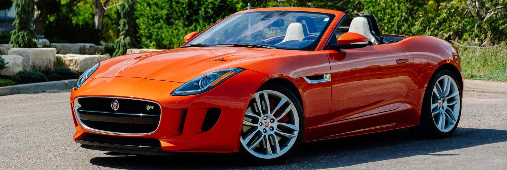 Jaguar El Paso