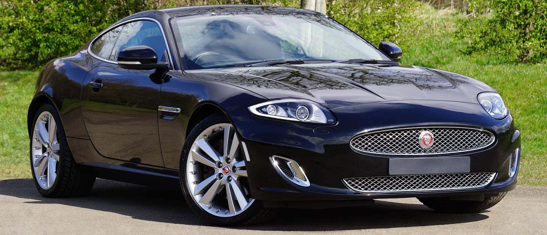 Jaguar Las Cruces