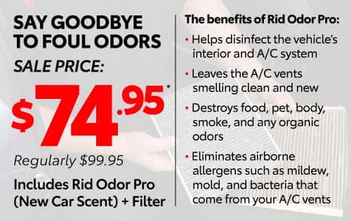 Say Goodbye to Foul Odors