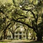 Rosedown Plantation in St. Francisville Louisiana