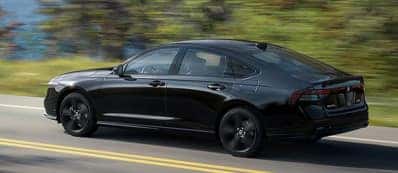 2025 Honda Accord Photo