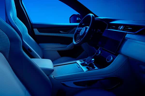 Jaguar Safety