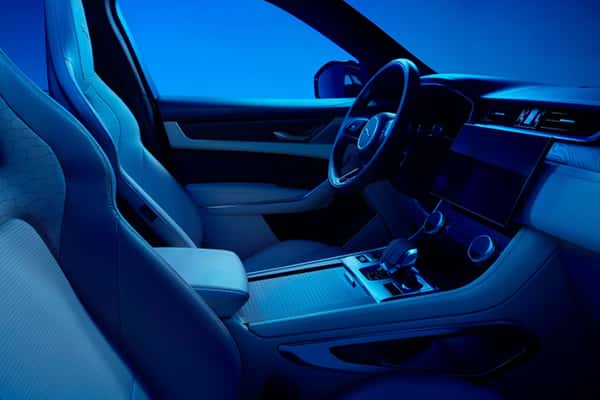 Jaguar Safety