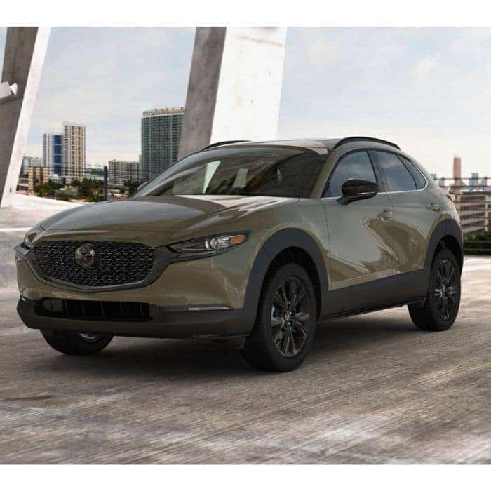 CX-30