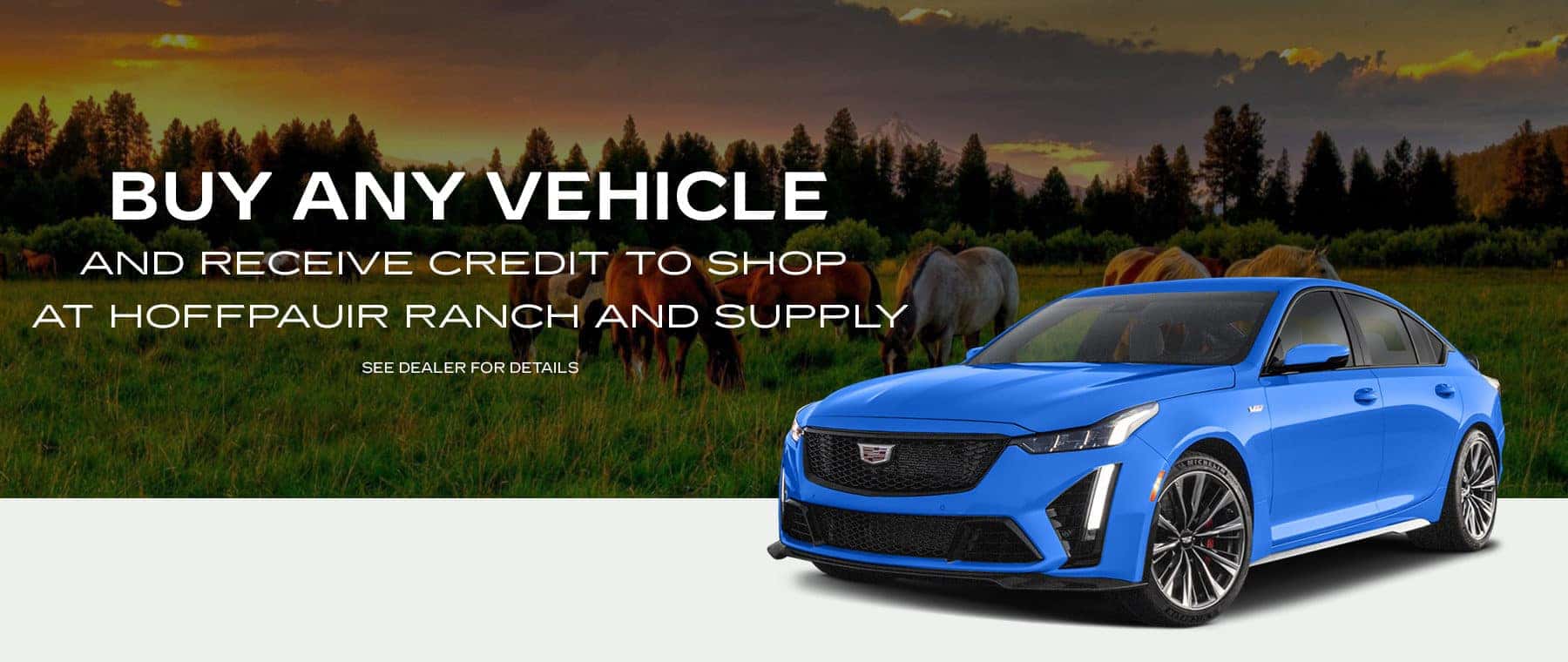 BUY ANY VEHICLE AND RECEIVE CREDIT TO SHOP AT HOFFPAUIR RANCH AND SUPPLY