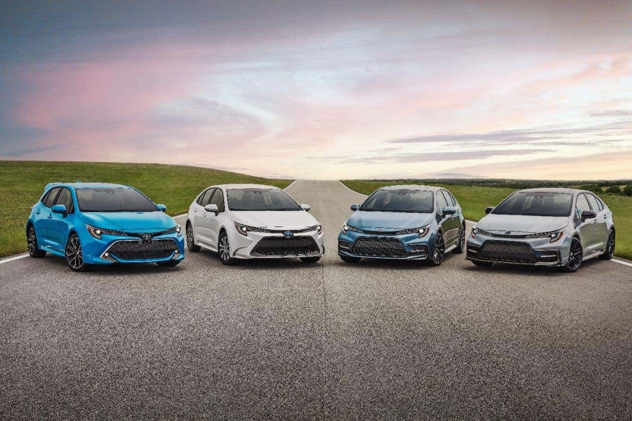 2022 Toyota Corolla Family Lineup shot during sunset on a long road in the backcountry