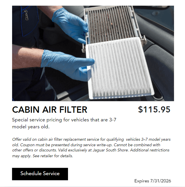 Cabin air filter