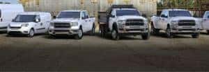 Fleet trucks in a row