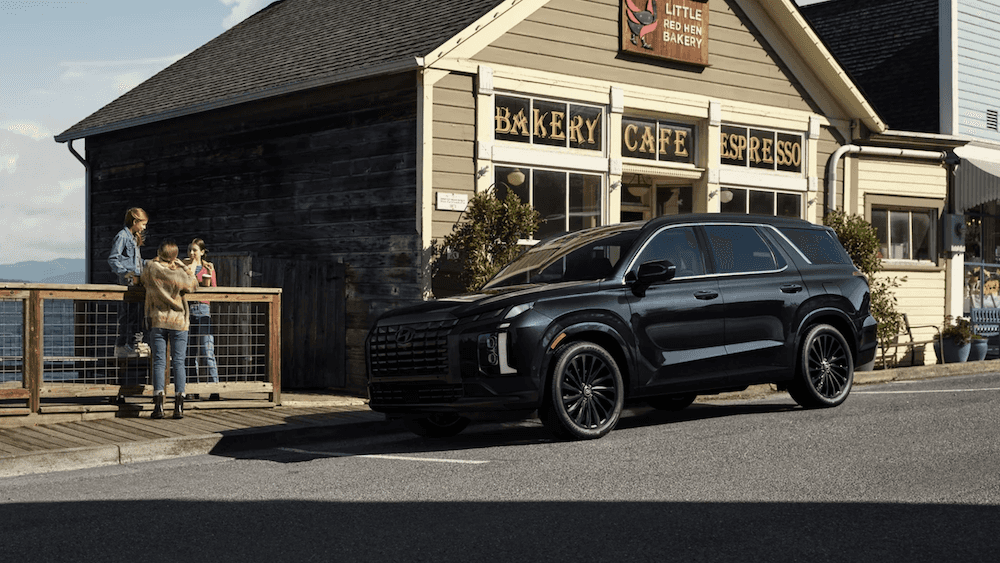 2025 Hyundai Palisade parked near Pascagoula