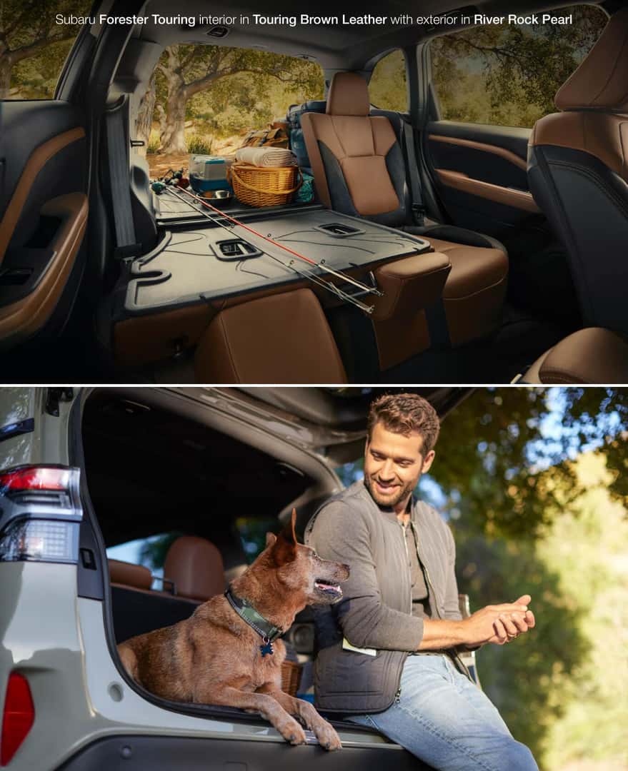 Subaru Forester Interior Safety