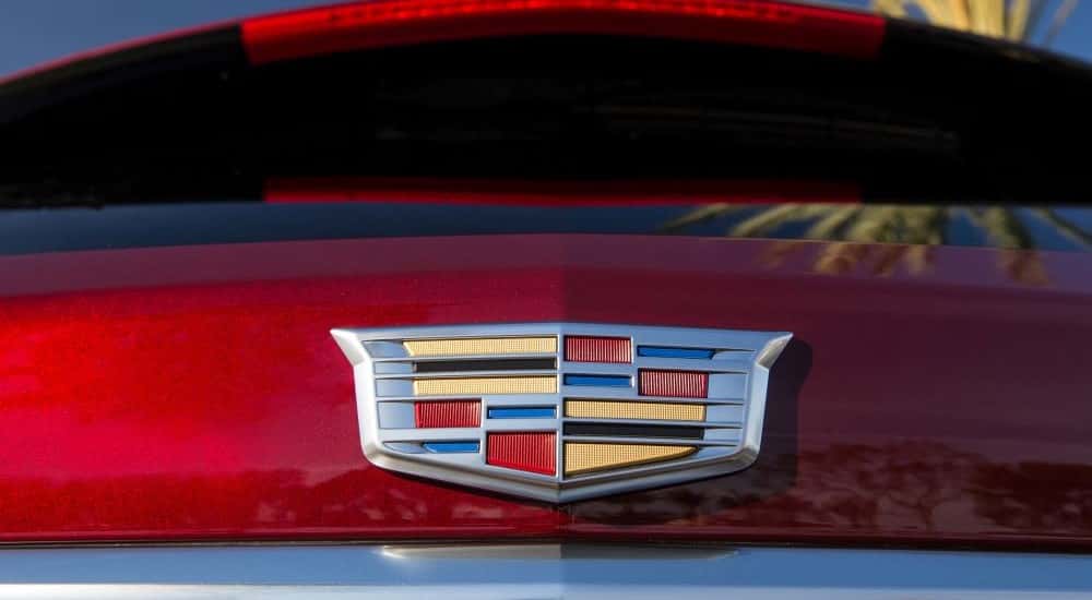 A close up shows the trunk badge on a red 2019 used Cadillac XT5 for sale.