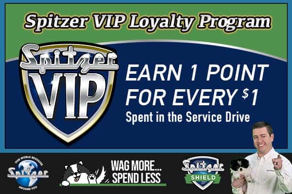 1 Point Per Dollar! – Spitzer VIP