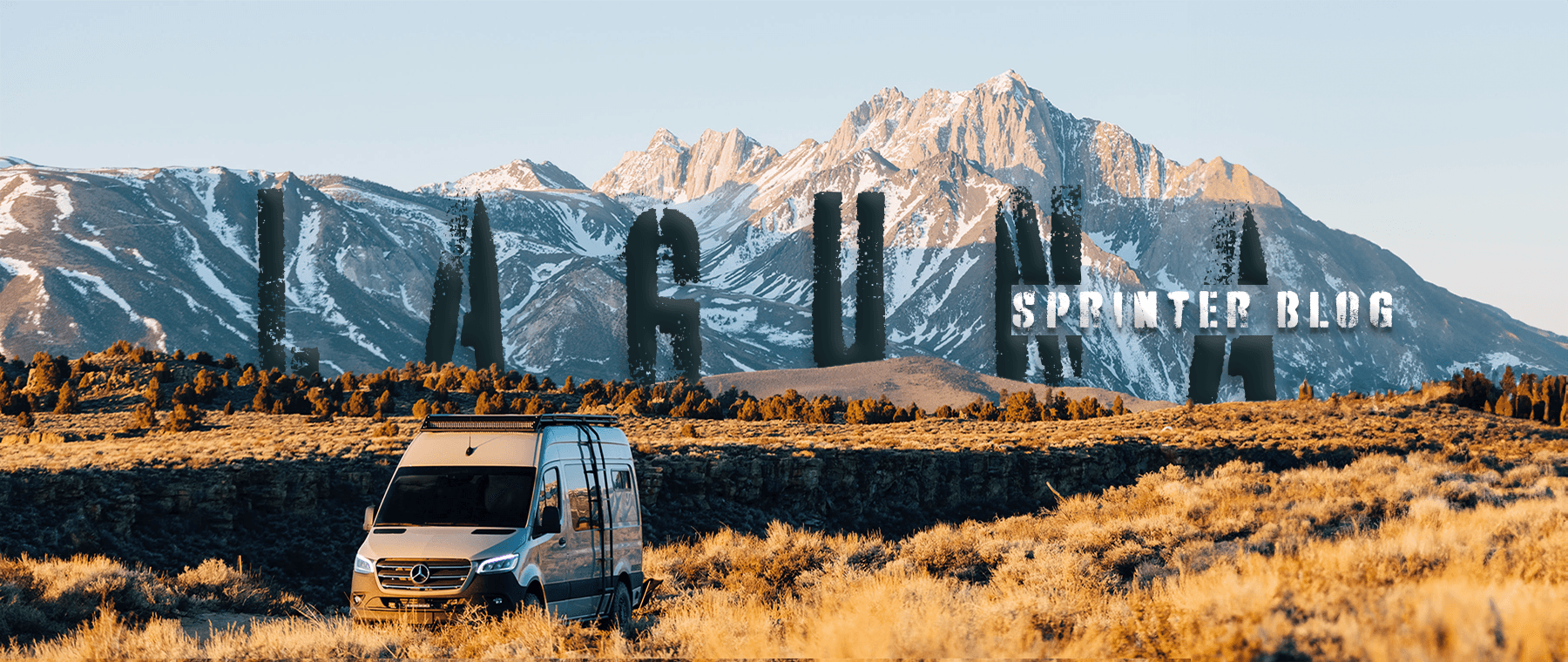 Laguna Sprinter Vans