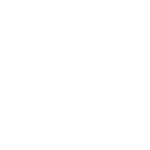 Money Bag Icon